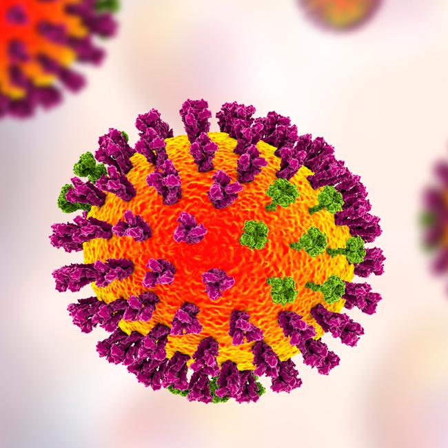 flu virus vector
